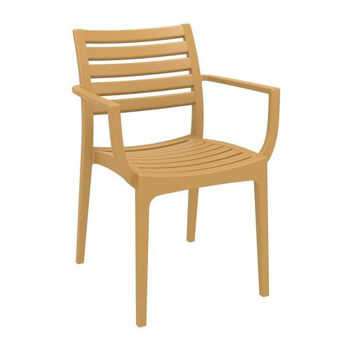 Chaise Du Bras Netris - Teck