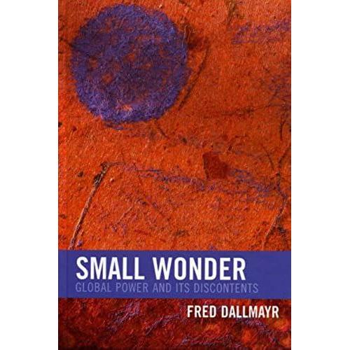 Small Wonder: Global Power And Its Discontents (New Critical Theory)