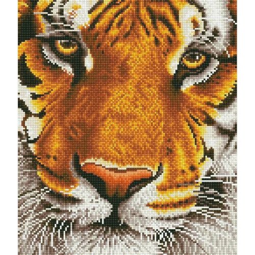 Diamond Dotz Tiger Bengal Magic - Peinture Au Diamant (44x50 Cm)