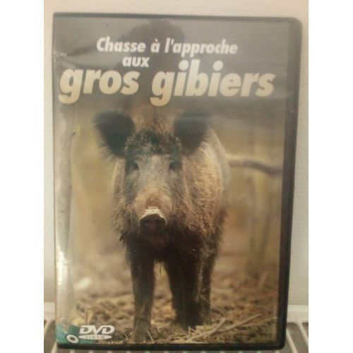 Chasse À L'approche Aux Gros Gibiers
