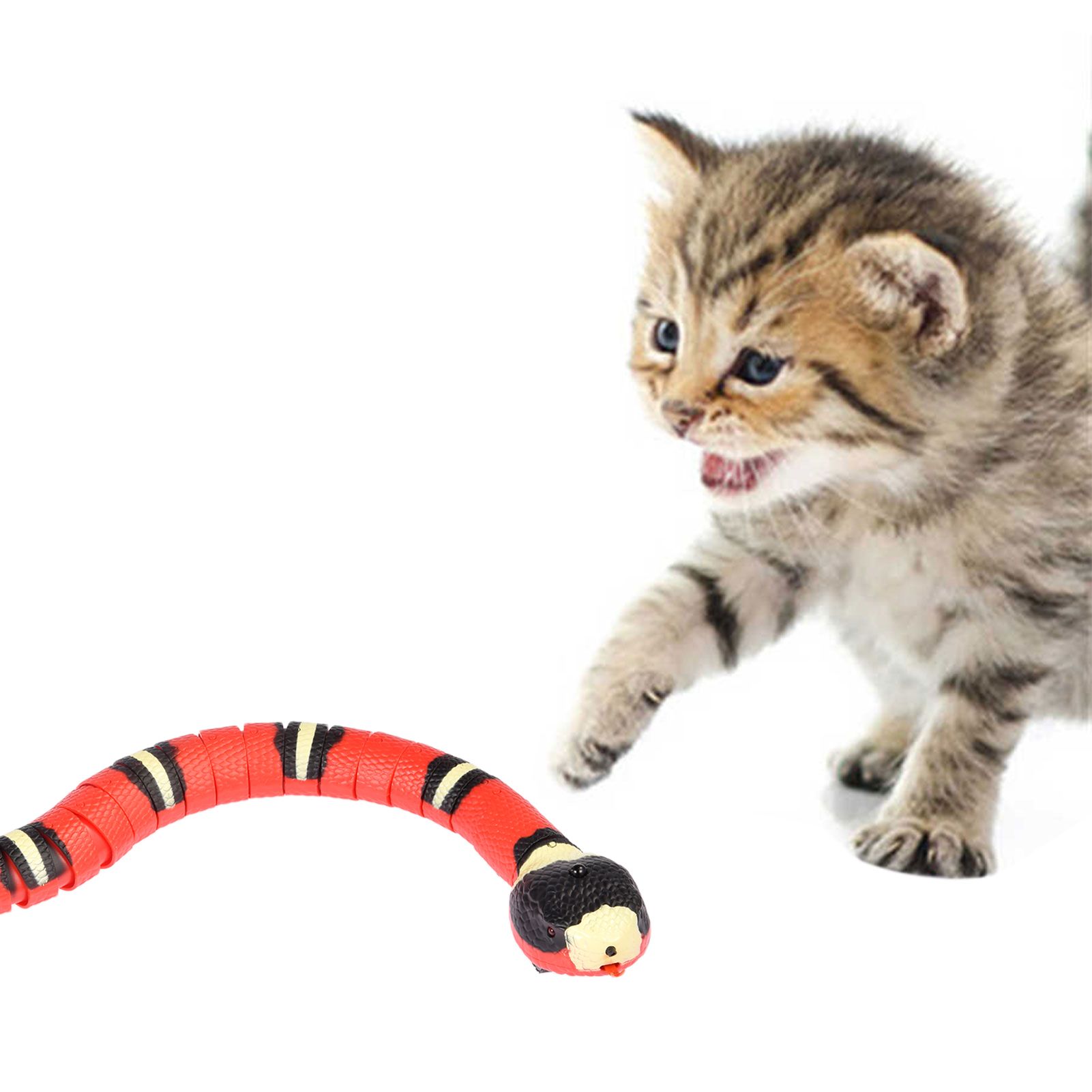 Détection intelligente Snake Cat Jouets Jouets interactifs électrique pour  les chats Cat de recharge USB Accessoires pour Chiens Jouet de jeu - Chine  Cat jouets et Electric cat cat Jouet Jouet prix