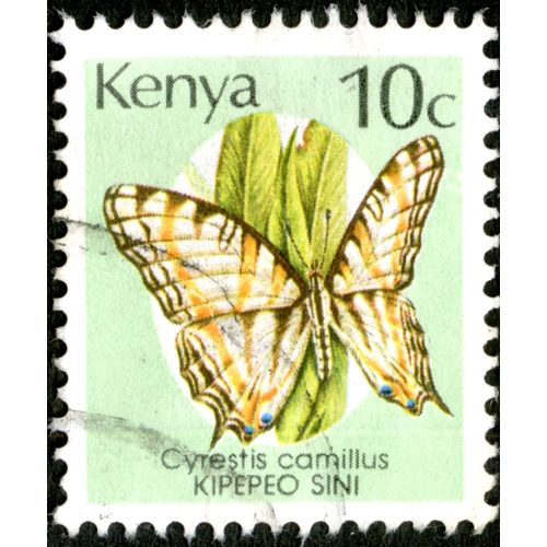 Timbre Oblitéré Kenya, Cyrestis Camillus, Kipepeo Sini, 10c