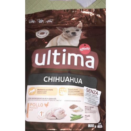 Croquette Chihuahua Ultima