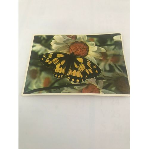 Image N.24 Papillon Demi Deuil - Serie 13 Connaissance Des Papillons De Jour - Chocolat Poulain