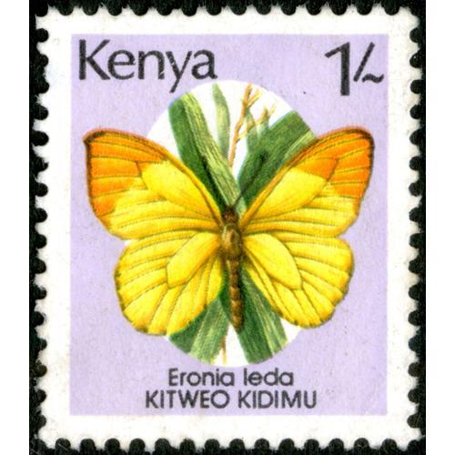 Timbre Kenya, Eronia Leda, Kitweo Kidimu, 1