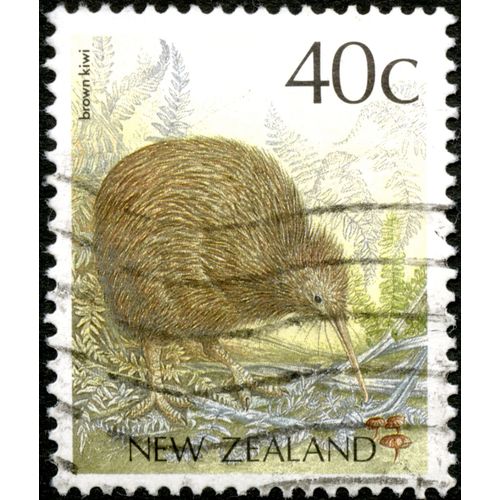Timbre Oblitéré New Zealand, Brown Kiwi, 40 C