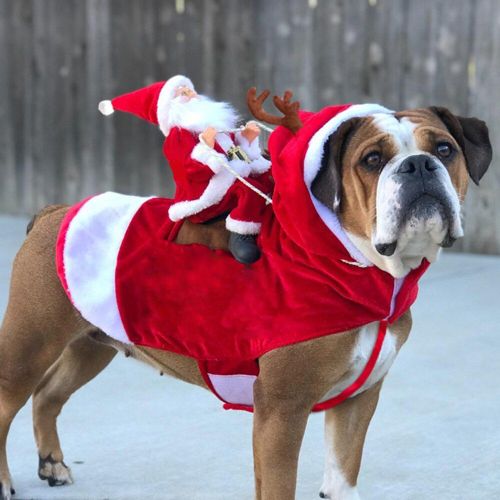 Jouet De Noël Pour Chien, Vêtements Pour Animaux De Compagnie, Veste, Manteau, Costume, Petit Et Grand Gabarit