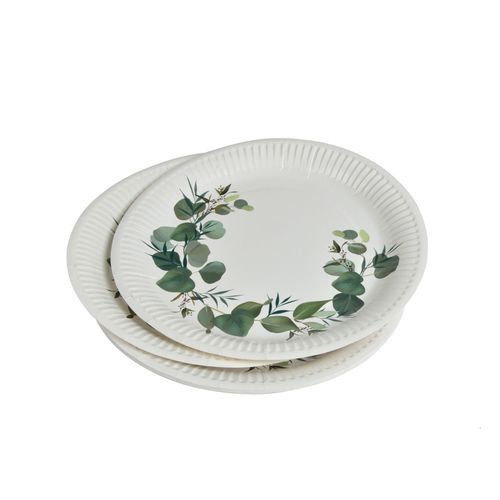 Set De 10 Assiettes En Carton 23 Cm Branche D'eucalyptus