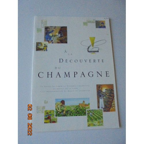A La Decouverte Du Champagne : Un Voyage Au Coeur Du Vignoble Champenois, Du Travail De La Vigne A La Transformation Du Raisin En Champagne
