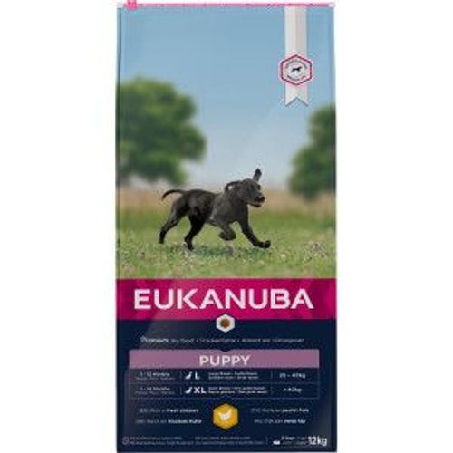 Eukanuba Puppy Large Breed Au Poulet Pour Chiot