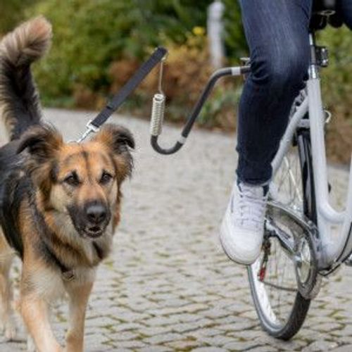 Attache De Vélo Pour Chien En U Et ,  Ou Fixation De Tige De Selle Pour Support En U Fixation De Tige De Selle - Lapos, Unité