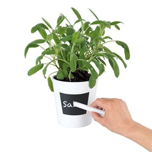 Pot À Herbes En Céramique Waia Wenko By Maximex