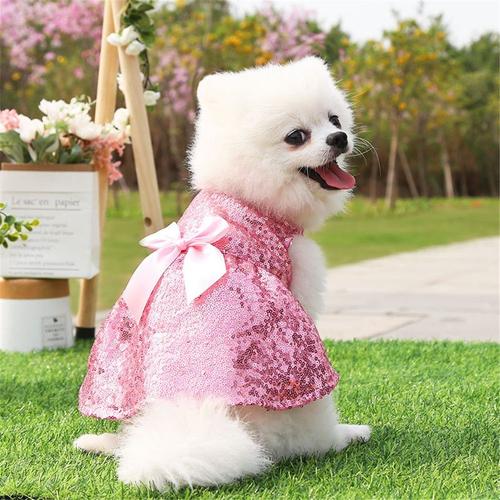 Robe de best sale mariée pour chien