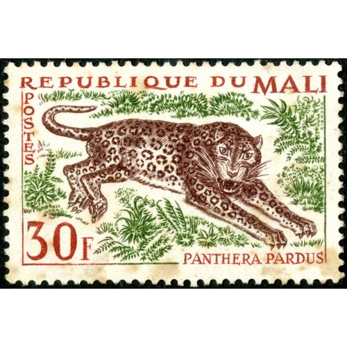 Timbre République Du Mali, Panthera Pardus, Postes, 30 F
