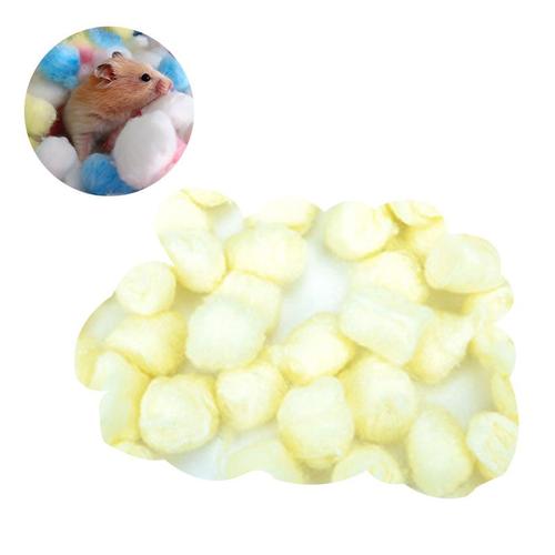 Coton hamster