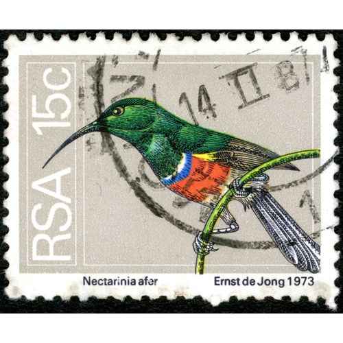 Timbre Oblitéré Rsa, 15c, Nectarinia Afer, 1973