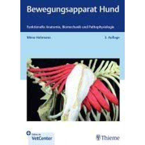 Bewegungsapparat Hund