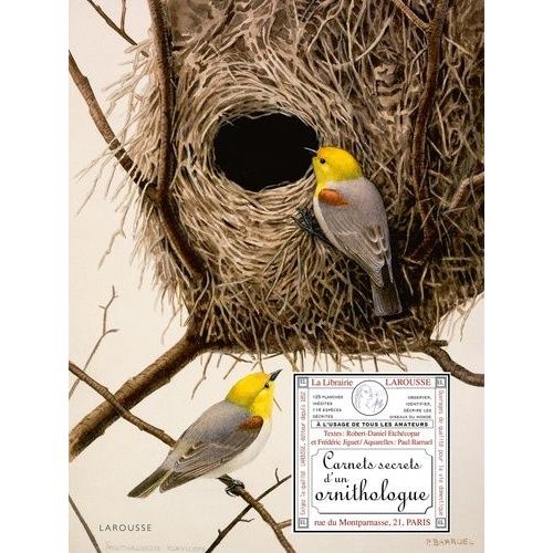 Carnets Secrets D'un Ornithologue