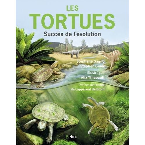 Les Tortues - Succès De L'évolution