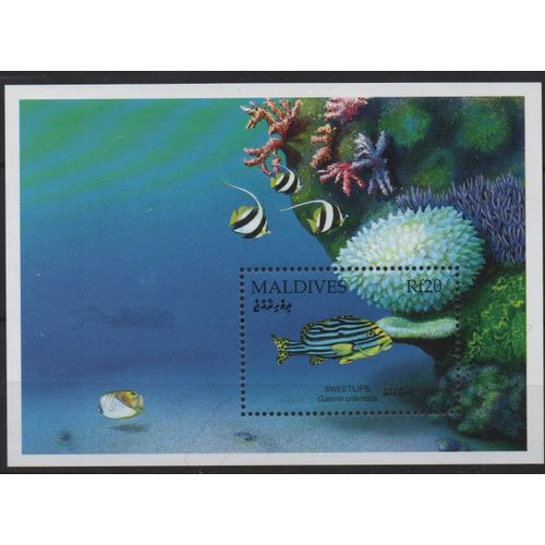 Maldives Timbre Poisson