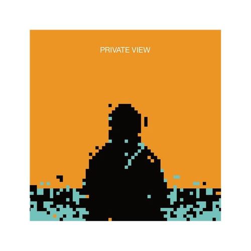 Private View - Vinyle 33 Tours