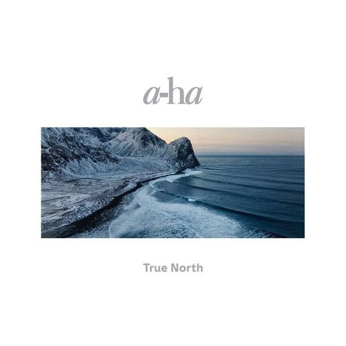 True North - Vinyle 33 Tours
