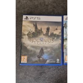 Harry Potter Howarts Legacy
