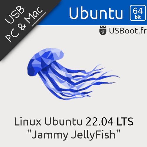Clé Clef Usb 8go 8gb Bootable D'installation De Linux Ubuntu 22.04 Jammy Jellyfish 64bit Lts