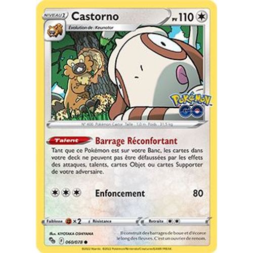 Castorno - 060/078 - Pokemon Go