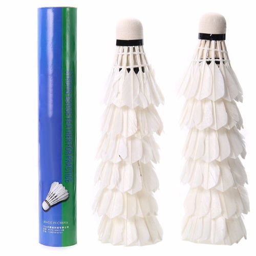 12 Pièces De Badminton, Stable, Durable, Portable, Entraînement Sportif, Pour Jeu D'intérieur Et D'extérieur