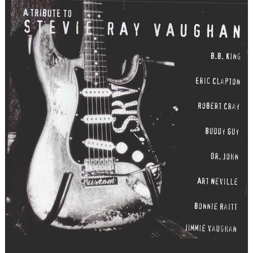 A Tribute To Stevie Ray Vaughan Bonnie Raitt
