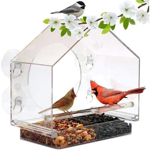 Maison d'oiseau suspendue, acrylique créatif, grande fenêtre Mangeoire à  oiseaux Mangeoire à oiseaux acrylique Cage à oiseaux acrylique transparente  Mangeoire à oiseaux pour animaux de compagnie