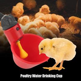 20mm 5 pièces tasses à boire de l'eau de volaille mangeoire à oiseaux abreuvoir automatique en plastique pour le bétail poulet poule poulailler poulailler arc d'alimentation Poulet Buveur Tasses 
