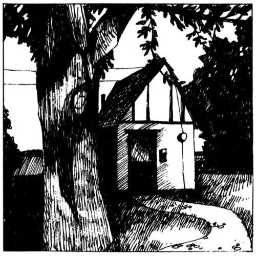 Naomi Lewis - Cottage Songs [Vinyl] Black, Ltd Ed