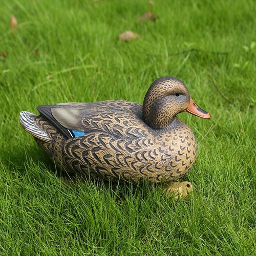 Leurre Canard En Plastique Pour Femme, Quille De Poule Morte