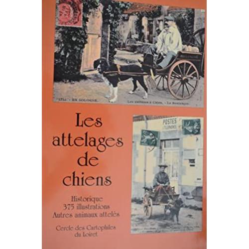 Les Attelages De Chiens - Historique - 375 Illustrations - Autres Animaux Attelés