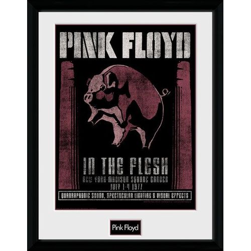Pink Floyd - 1977 - 30x40cm - Encadré