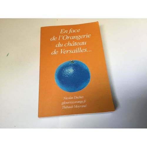 En Face De L’Orangerie Du Château De Versailles