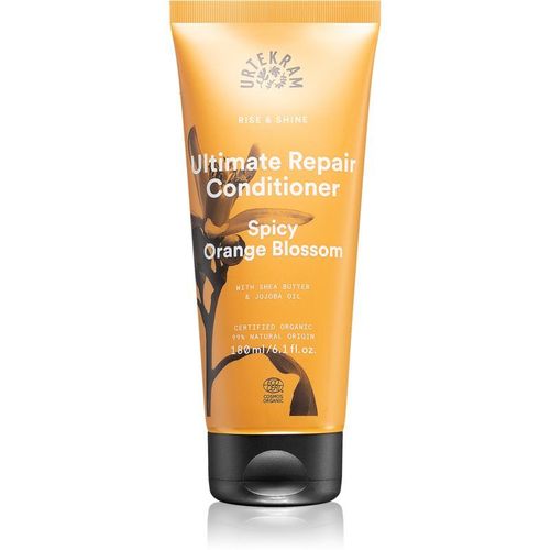 Urtekram Spicy Orange Blossom Après-Shampoing Pour Cheveux Secs Et Abîmés 180 Ml 