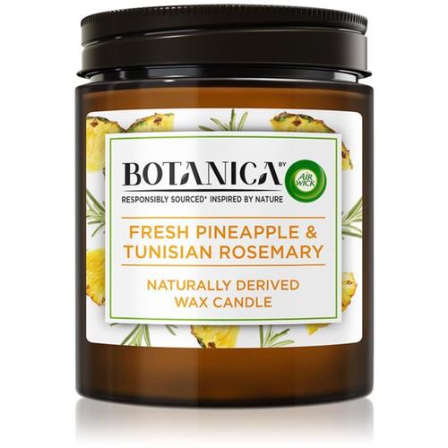 Air Wick Botanica Fresh Pineapple & Tunisian Rosemary Bougie Parfumée 205 G 