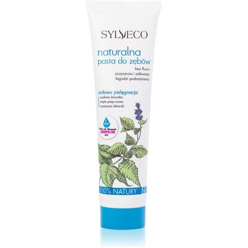 Sylveco Dental Care Dentifrice Naturel Sans Fluorure Saveur Herbal 100 Ml 