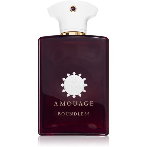 Amouage Boundless Eau De Parfum Mixte 100 Ml 