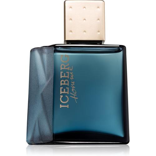 Iceberg Homme Eau De Toilette Pour Homme 50 Ml 