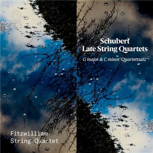 Quatuors À Cordes Tardifs - Cd Album