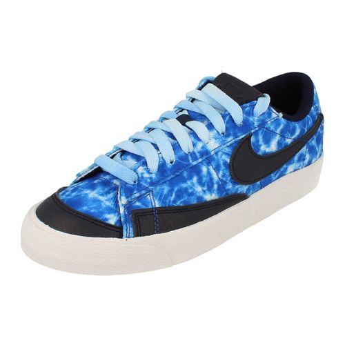 Nike Blazer Low 77 Trainers Dm3038 400