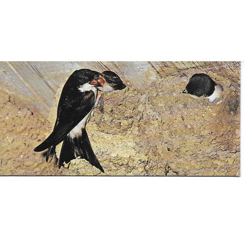 Chocolat Nestle. Carte Merveilles Du Monde N° 69 Animaux Constructeurs.L'hirondelle De Fenetre