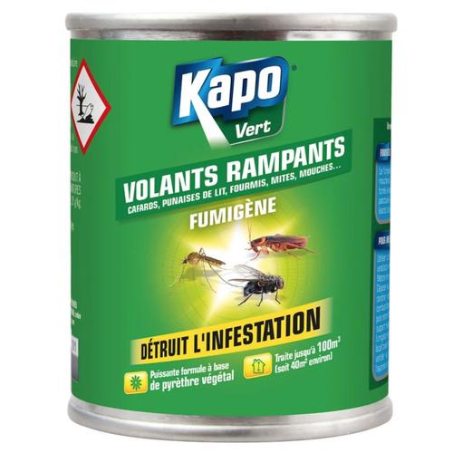 KAPO VERT VOLANTS RAMPANTS FUMIGENE 3365000031803 BOICIDE DETRUIT L'INFESTATION INSECTICIDE ANTI CAFARDS PUNAISES DE LIT FOURMIES MITES MOUCHES .... COMASOUND KARTEL CSK ONLINE