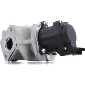 Delphi Vanne Egr Ford,Fiat,Peugeot Eg10401-12b1 161859,1618nr,1619 Valve Egr,Egr,Soupape Egr 9672880080,1338675,1439414,1479057,1526689,1682737,161859