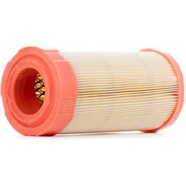 Mann-Filter Filtre À Air Microcar,Ligier,New Holland C 946,2 Xjaf01587,114094,11201032020  16631866,43919166,6050126,Pj6050126