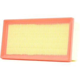Ridex Filtre À Air Opel,Peugeot,Citroen 8a0553 9674725580,9674725580
